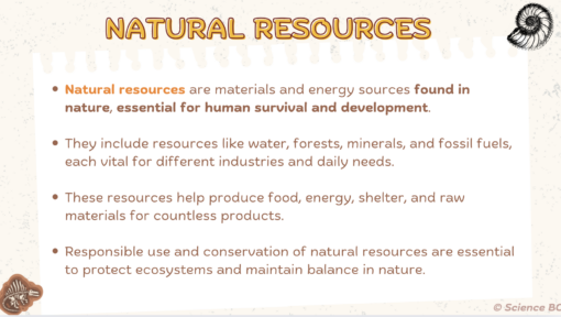 Earth's Natural Resources - Image 4